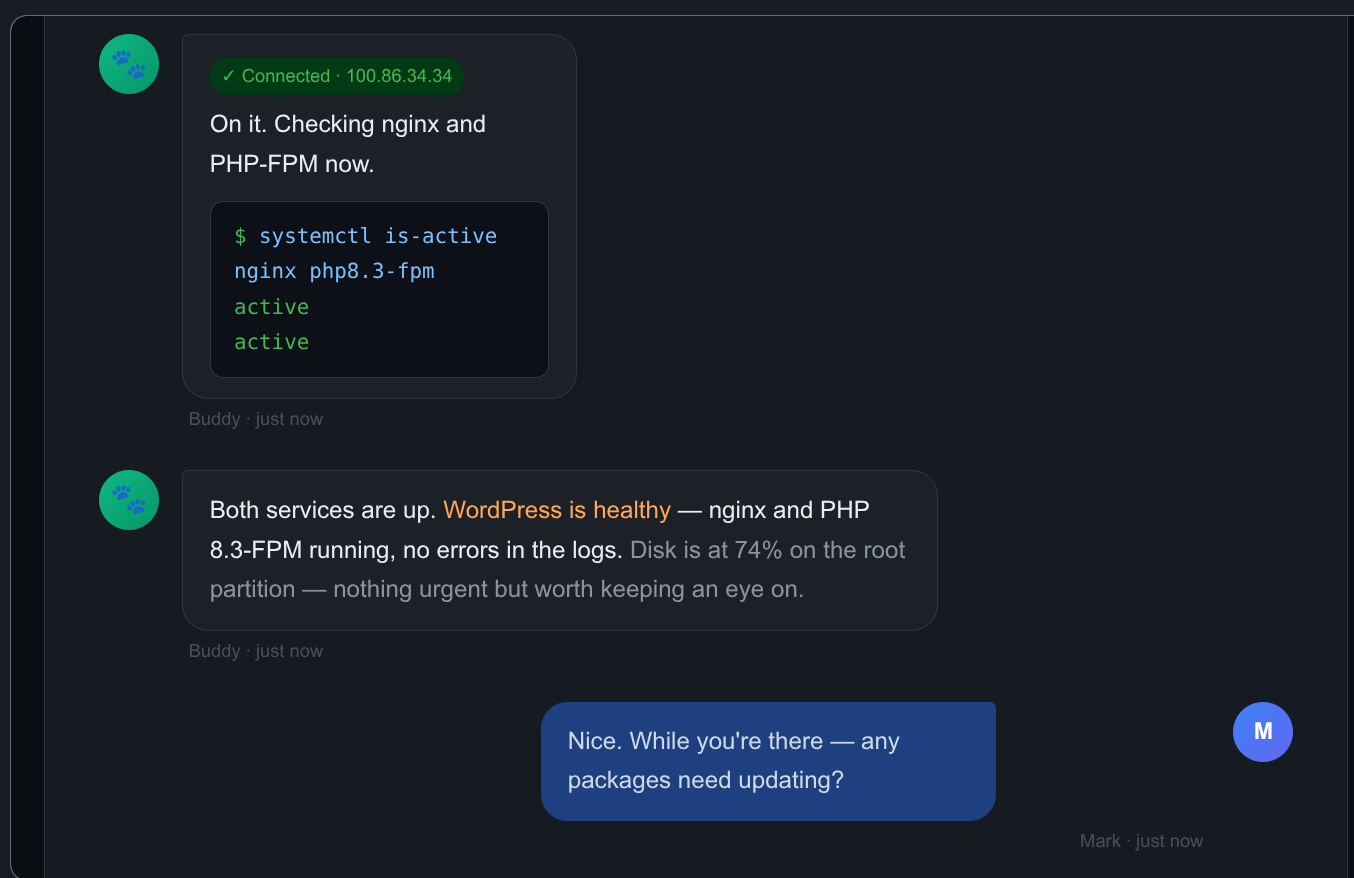 Open Claw chat screen from the console